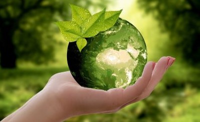 Green Products and Services Hub - Resources for Greening all Aspects of Your Life!