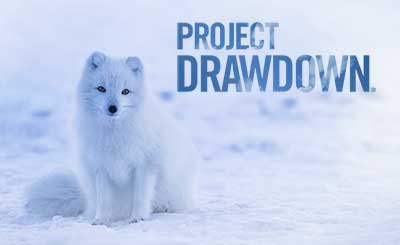 Project Drawdown New Sustainable Business Ideas