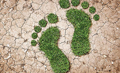 Top 20 Ways to Reduce Carbon Footprint
