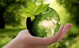 Green Products and Services Hub - Resources for Greening all Aspects of Your Life!