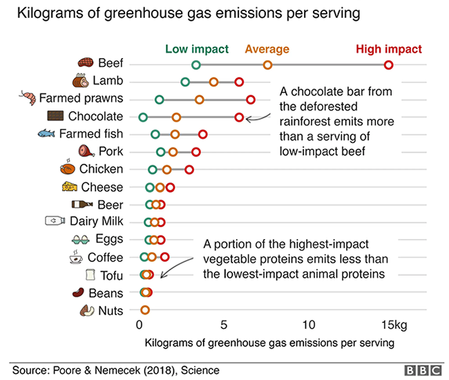 Greenhouse Gases by Type of Food