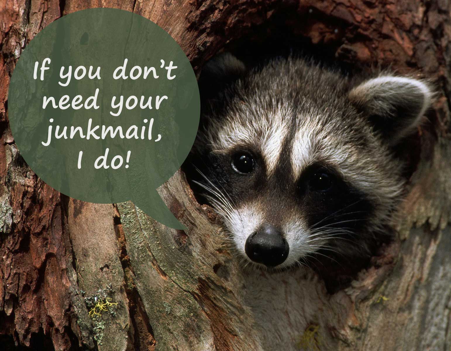 Stop Junk Mail - Raccoon
