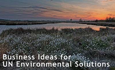 United Nations Environmental Solutions Green Business Ideas
