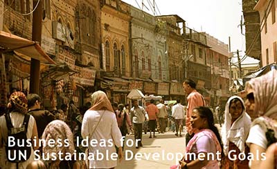 United Nations Sustainable Development Goals Green Business Ideas