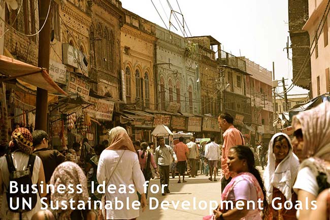 Sustainable Business Ideas to Support the United Nation's Sustainable Development Goals