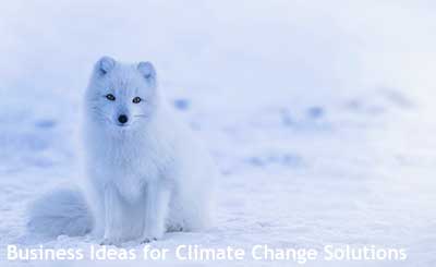 Climate Change Sustainable Business Ideas