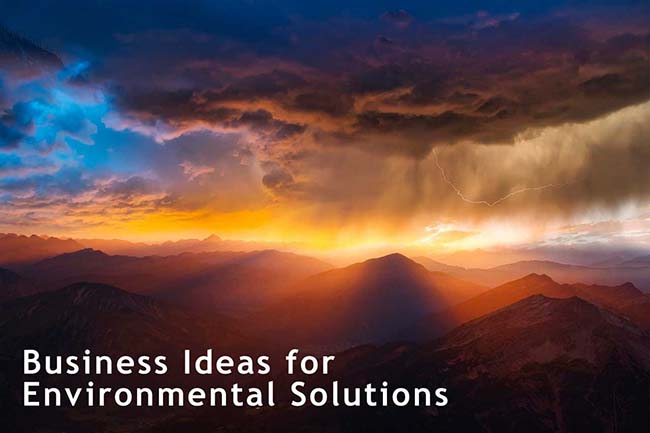 Sustainable Business Ideas to Support Environmental Solutions