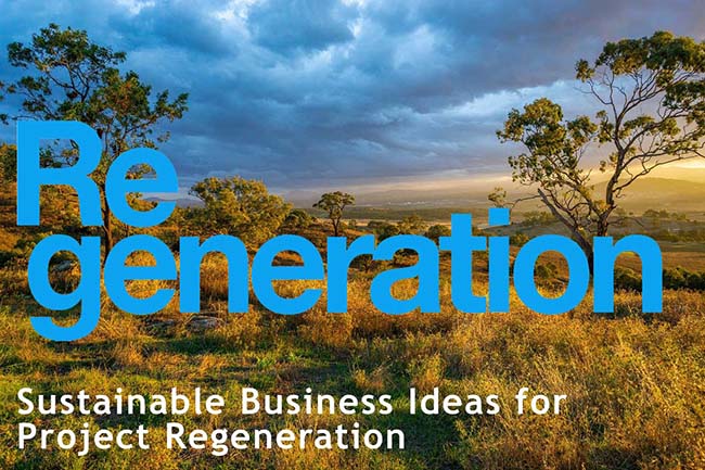 Sustainable Business Ideas to Support Project Regeneration's Solutions