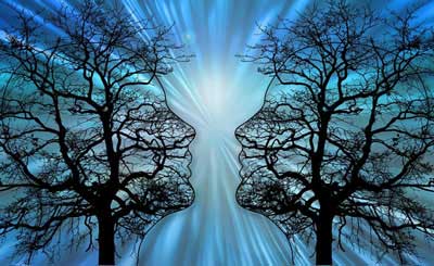 Enhance Brain Health Naturally with Plant-Based Foods and Sustainable Lifestyle Strategies