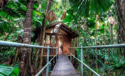 Sustainable Hotel Practices - Green Hotel Ideas