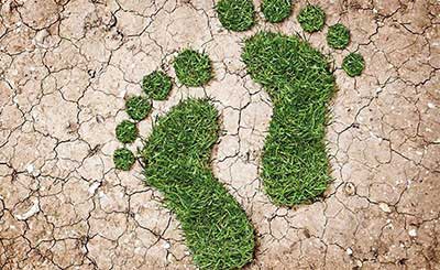 Reduce Carbon Footprint