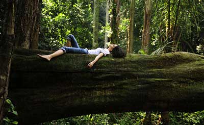 Tips for Creating a Sustainable Lifestyle