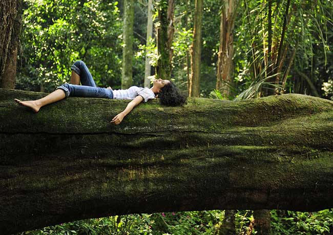 How to Create a Sustainable Lifestyle