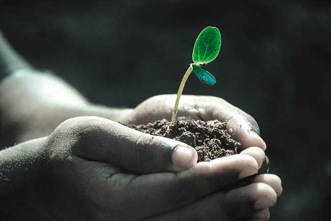 Directories of Environmental and Human Rights Organizations