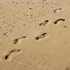 Reduce Your Carbon Footprint to Protect Oceans