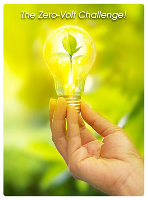 Reduce Your Carbon Footprint - Conserve Energy with the Zero-Volt Challenge!