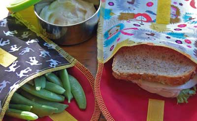 Waste Free Lunch Ideas