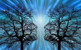The Ultimate Guide for Enhancing Your Brain Health Naturally