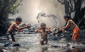Nature and Animal Quotes
