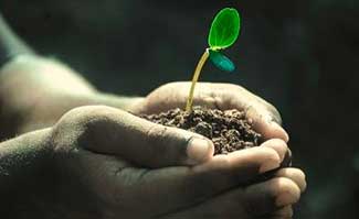 Directories of Environmental and Human Rights Organizations