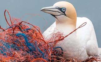 Top 12 Pollution Issues and Solutions