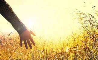 Quotes on Creating a Sustainable Future