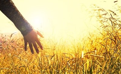 Quotations on Living a Sustainable Life