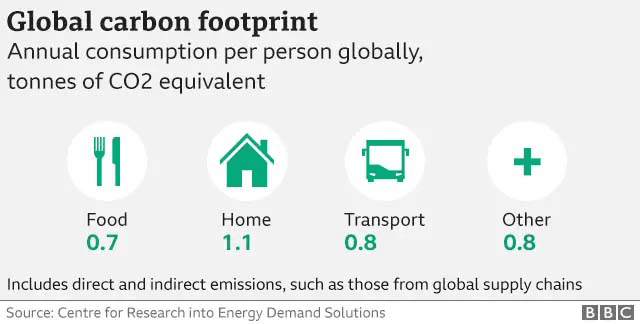Annual Average Carbon Footprint Per Person Globally